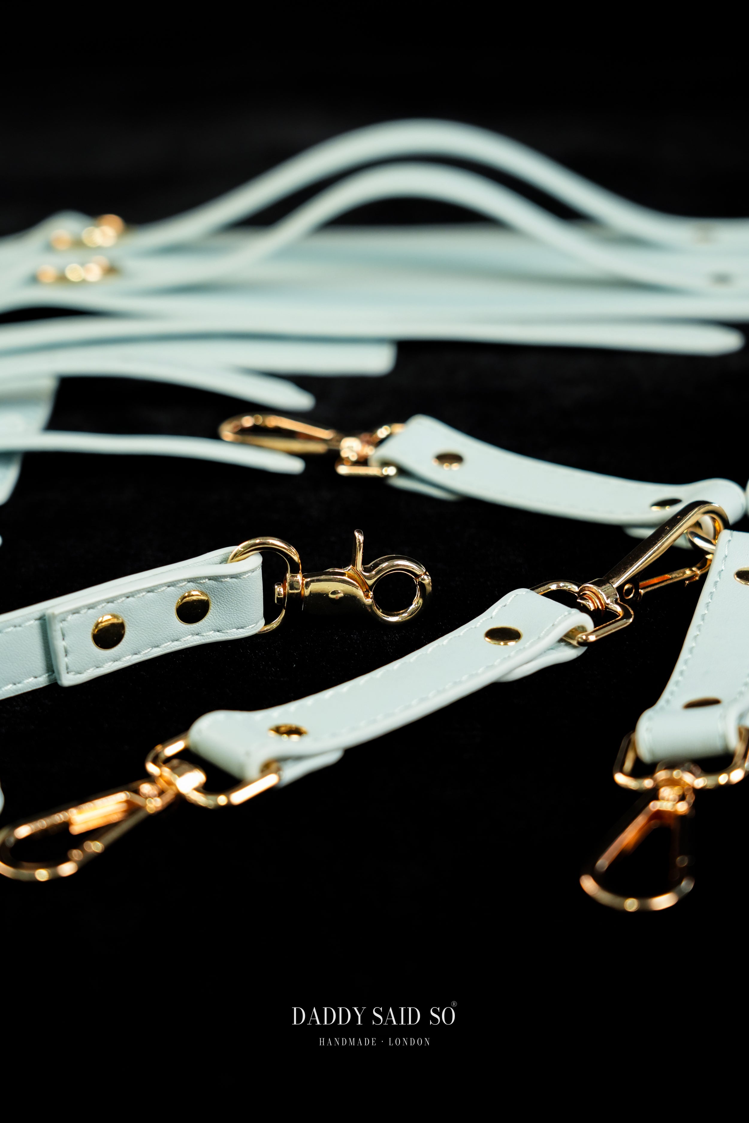 Sovereign Restraint System