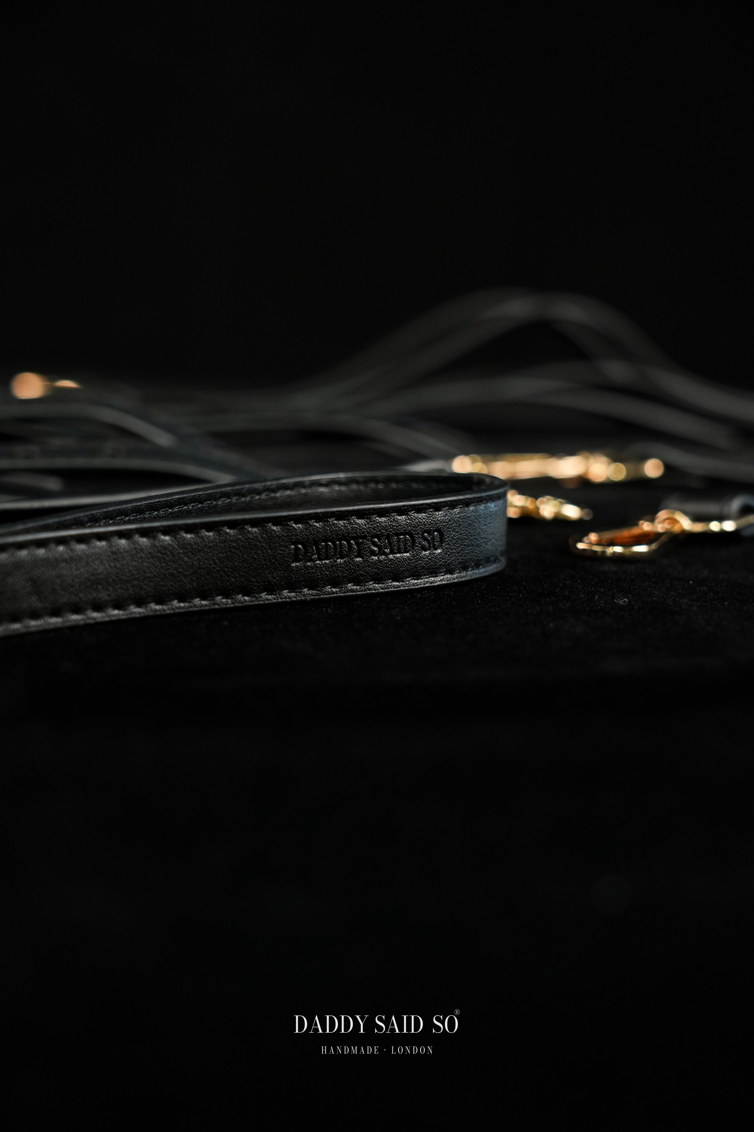 Sovereign Restraint System