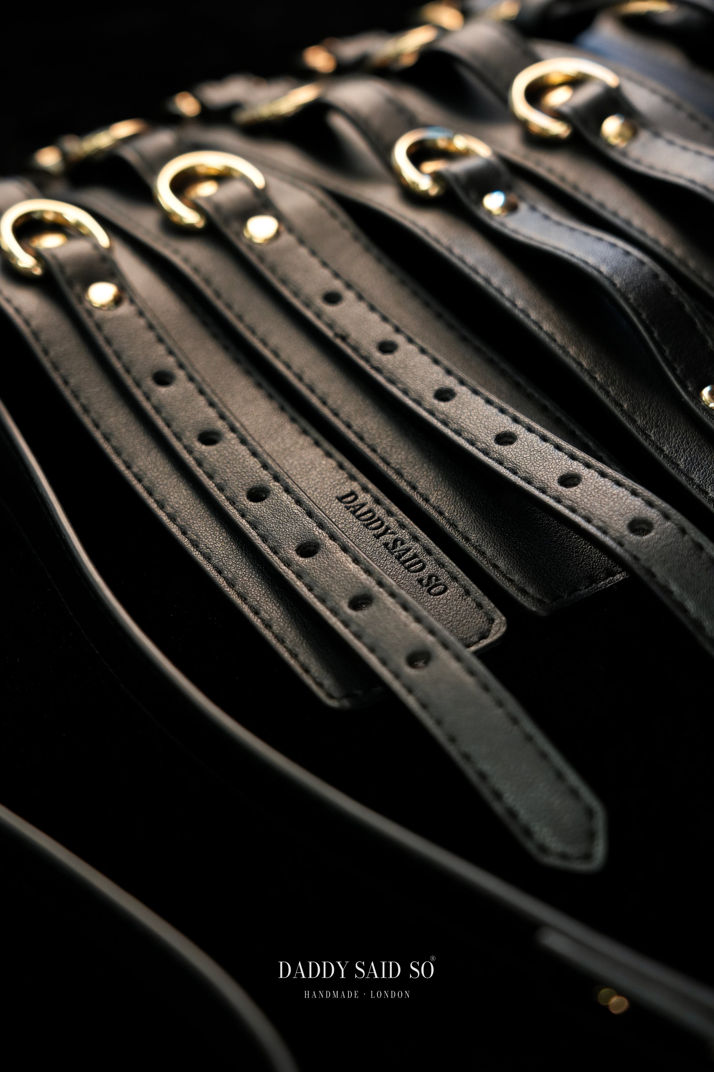 Sovereign Restraint System