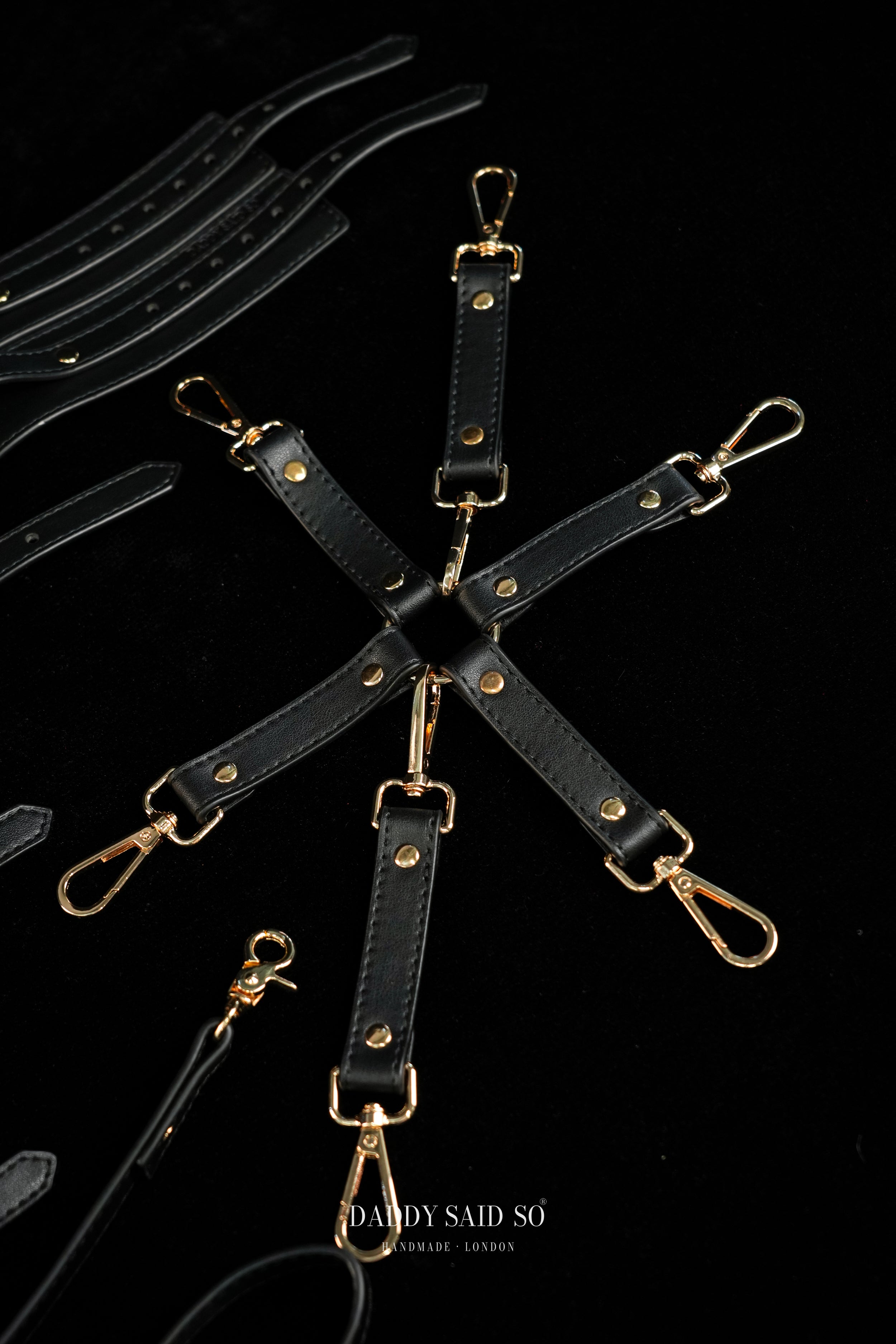 Sovereign Restraint System