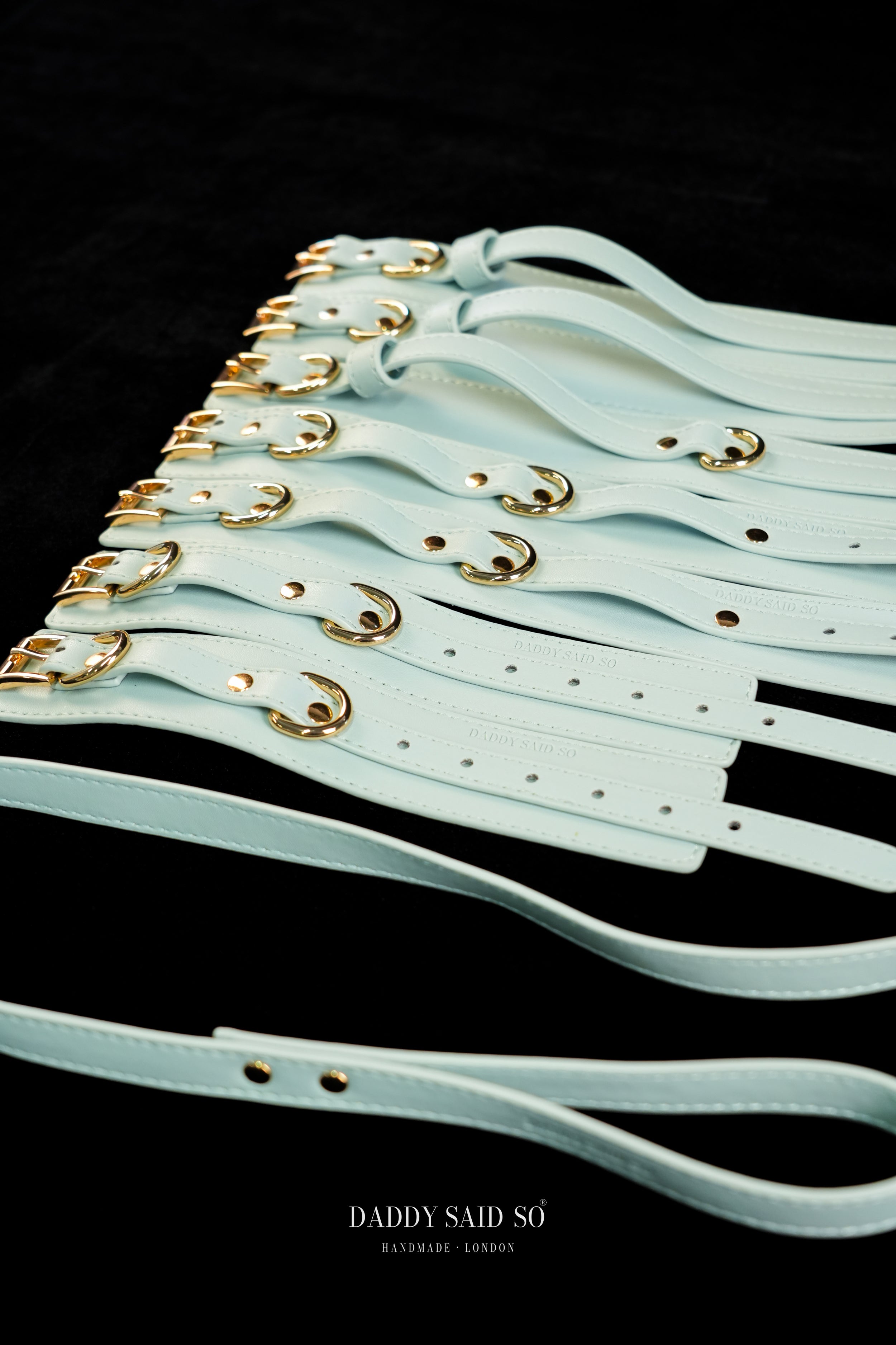 Sovereign Restraint System