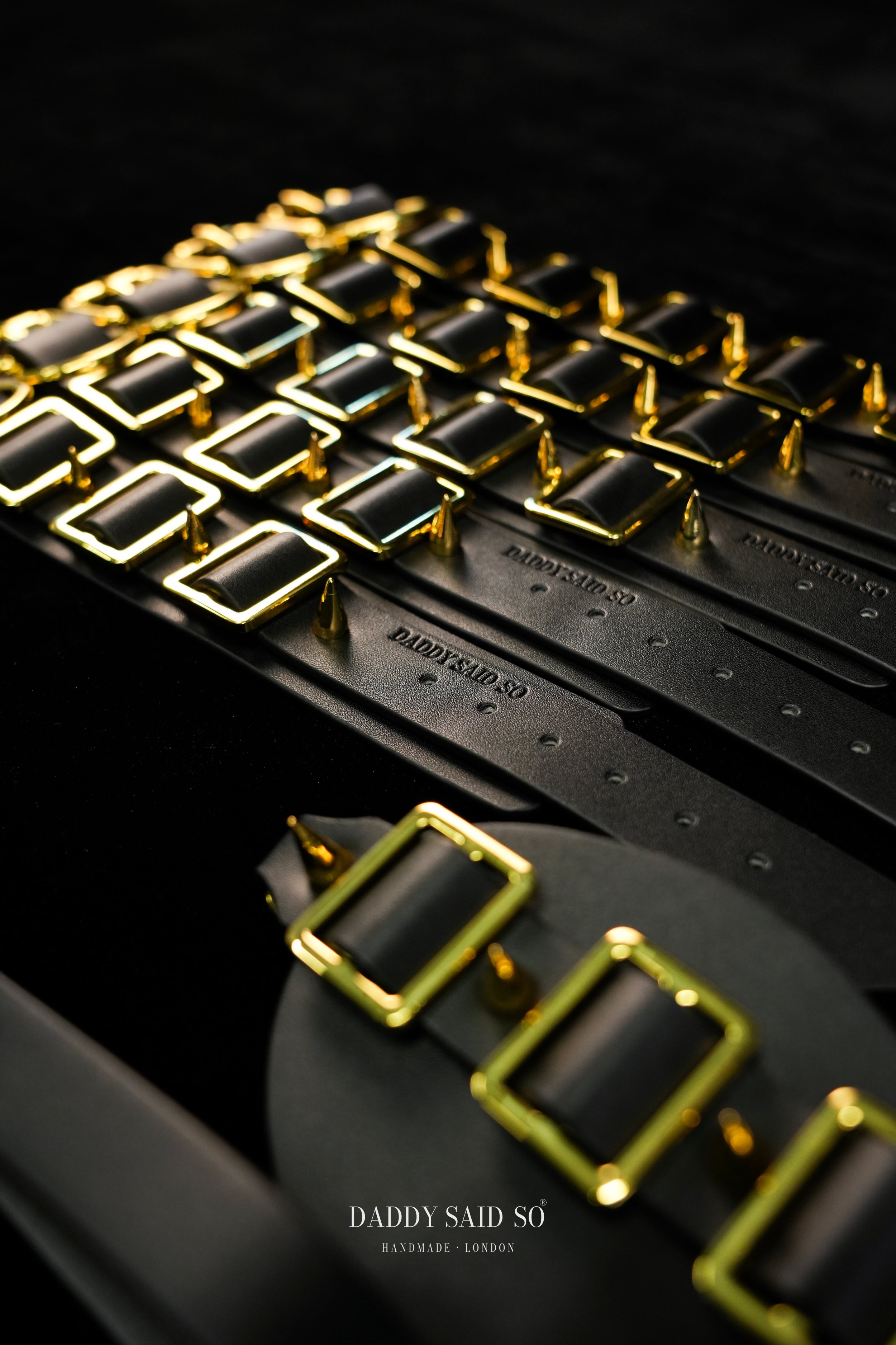 Gilded Spike Bondage Set
