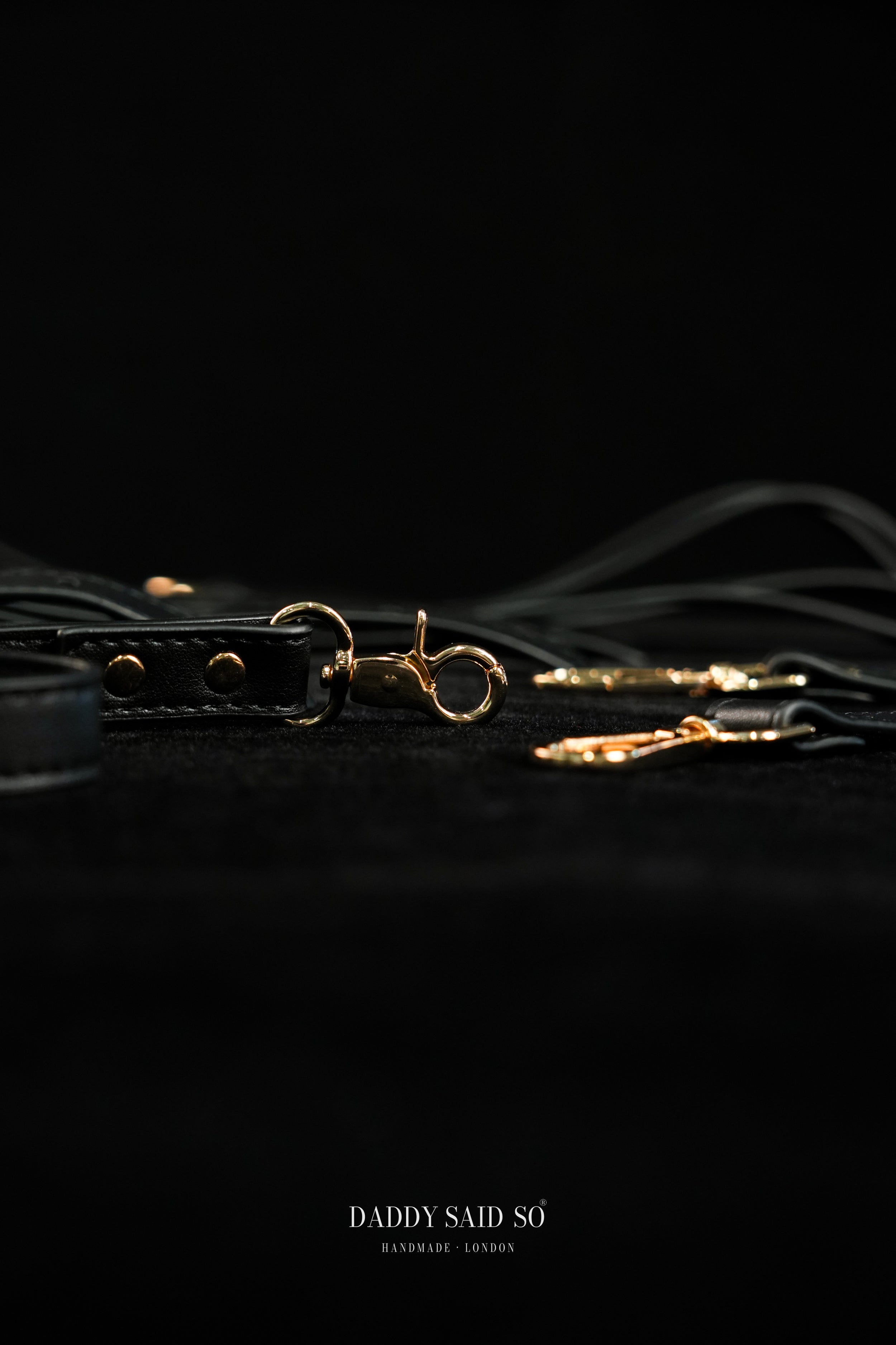 Sovereign Restraint System
