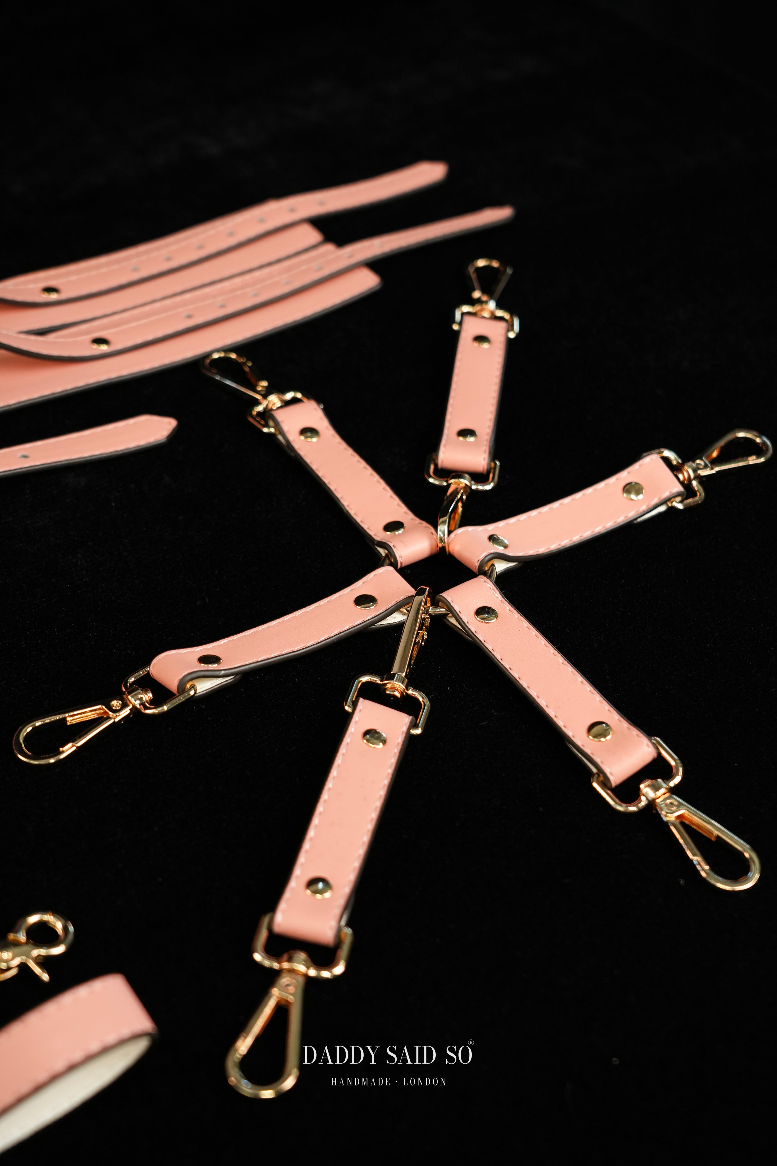 Sovereign Restraint System