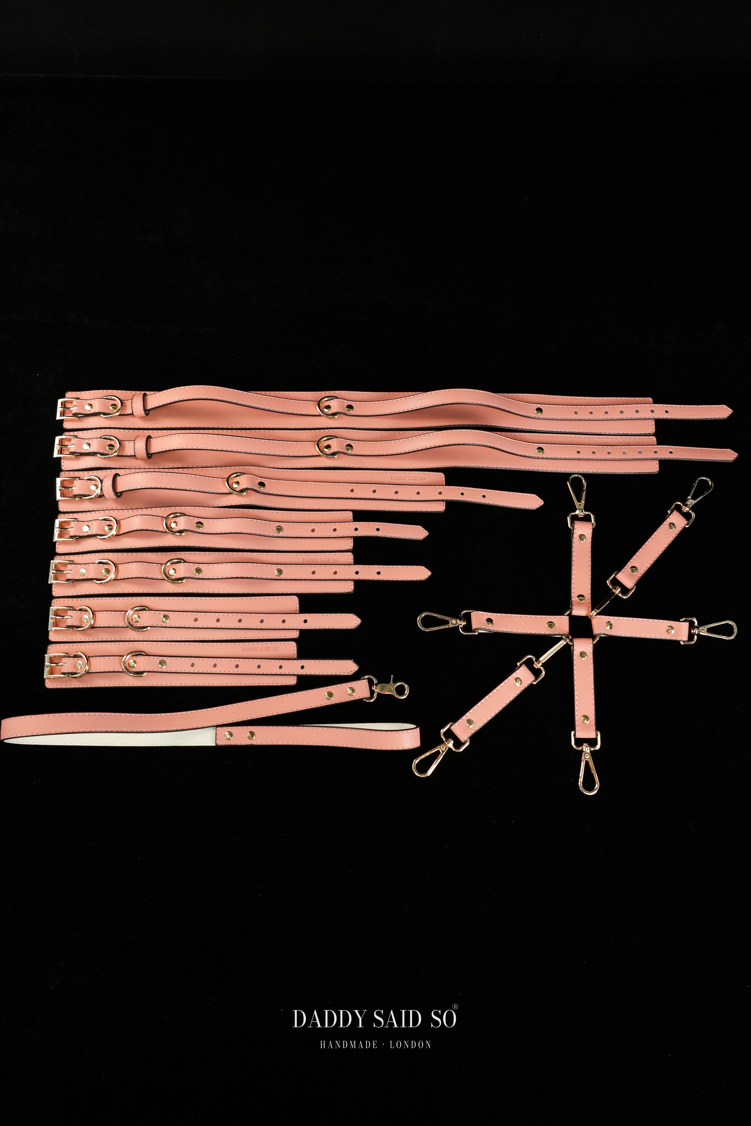 Sovereign Restraint System